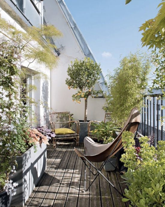 Pinterest – Révélez votre balcon en jardin provençal, même en ville, grâce à de petits arbustes en pot !